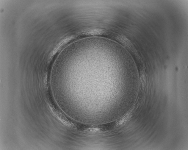 X0000057090159200509161638