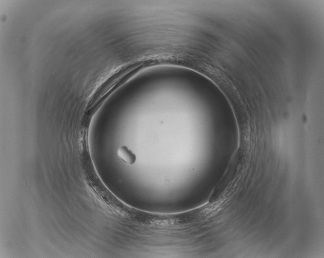 X0000057090160200509161638