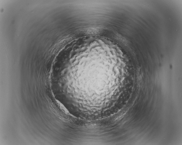 X0000057090161200509161638