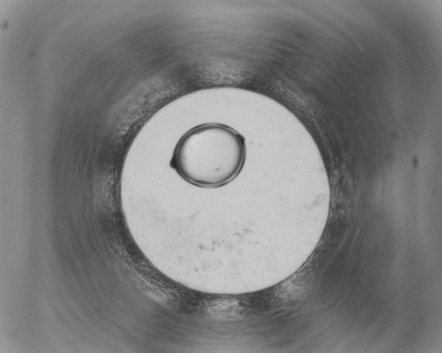 X0000057090162200509161638