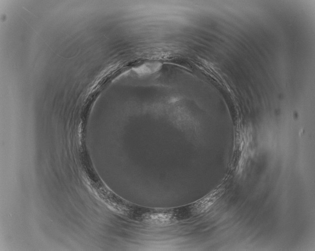 X0000057090163200509161638