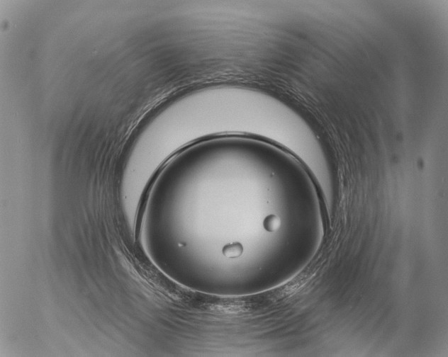 X0000057090164200509161638