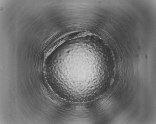 X0000057090165200509161638