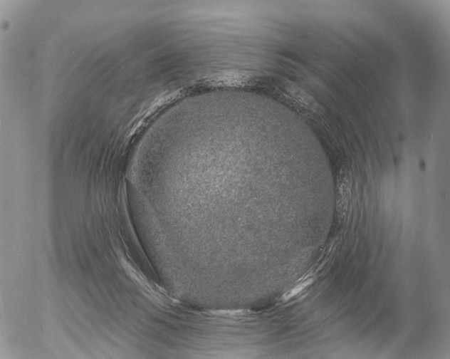 X0000057090168200509161638