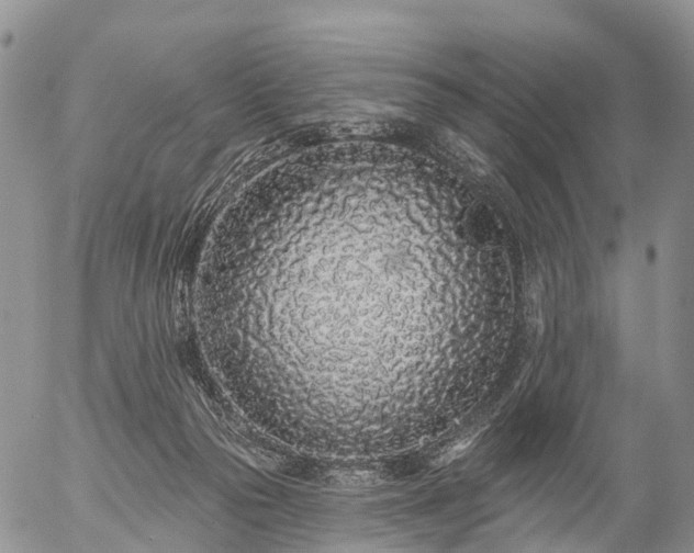 X0000057090169200509161638