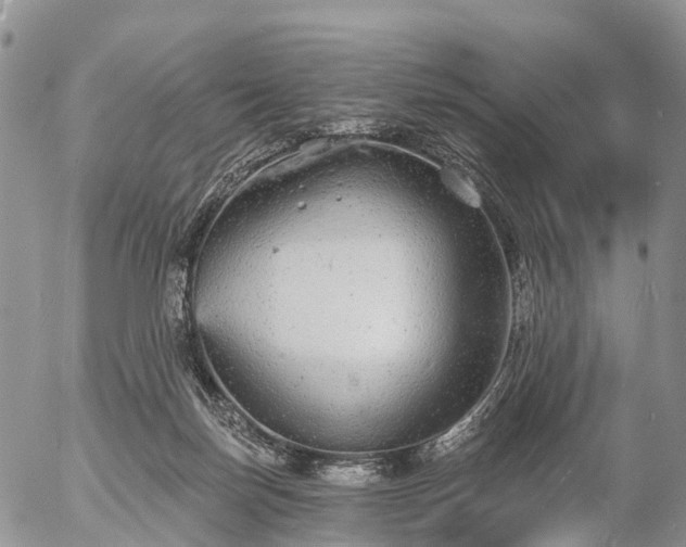 X0000057090171200509161638