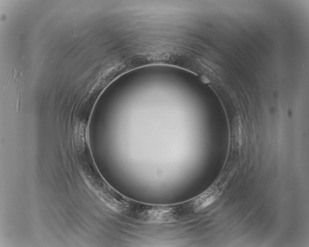 X0000057090172200509161638