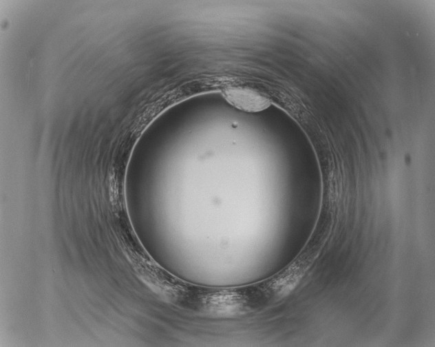 X0000057090173200509161638