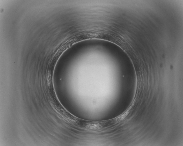 X0000057090174200509161638