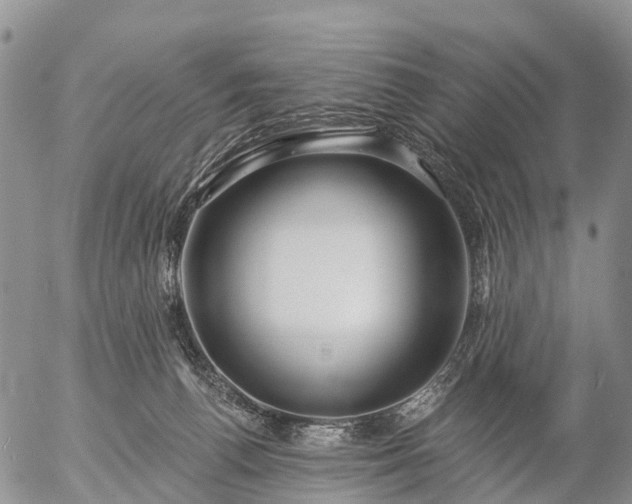 X0000057090176200509161638