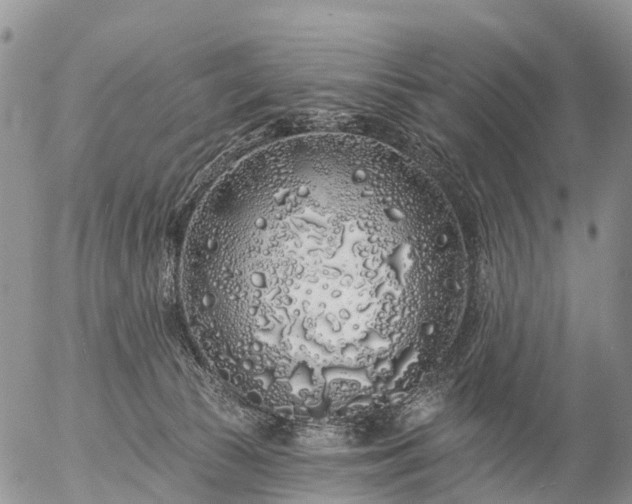 X0000057090177200509161638