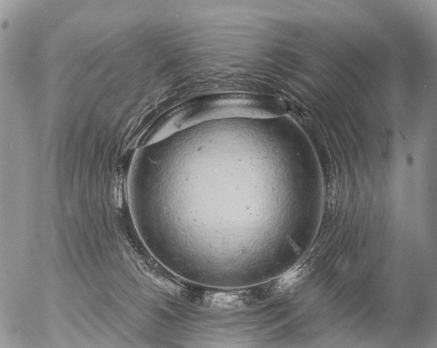 X0000057090180200509161638