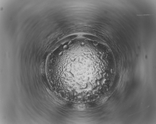 X0000057090181200509161638