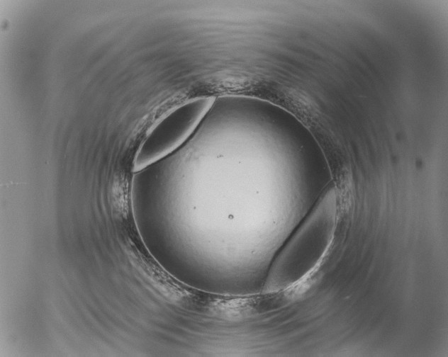 X0000057090186200509161638