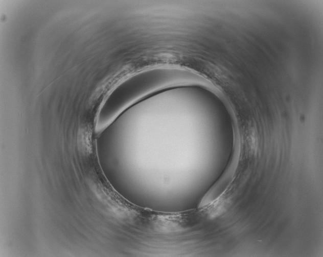 X0000057090188200509161639