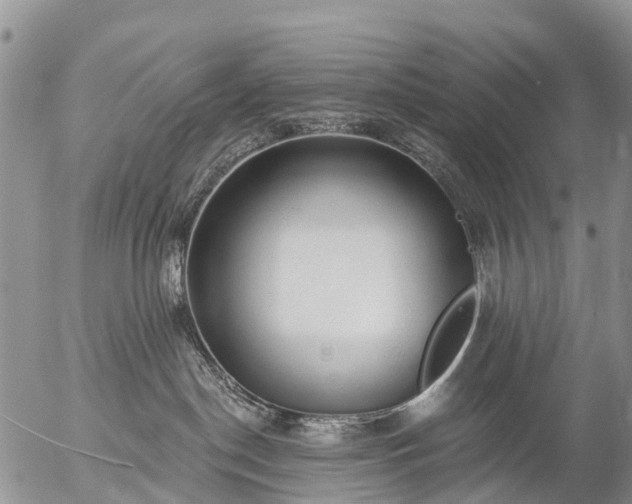 X0000057090190200509161639