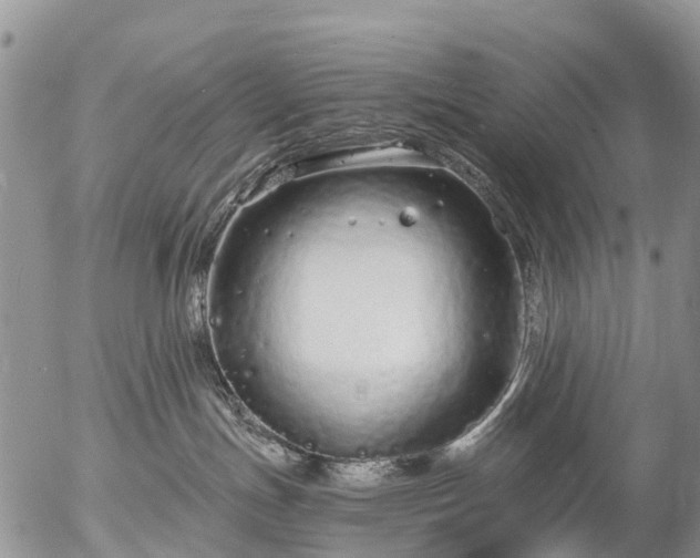 X0000057090191200509161639