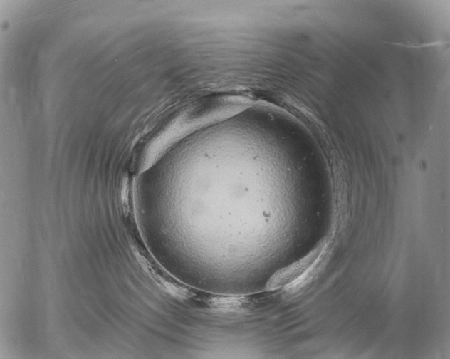 X0000057090192200509161639