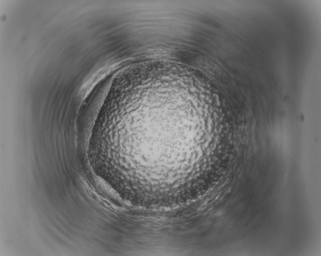 X0000057090194200509161638