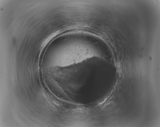 X0000057090196200509161638