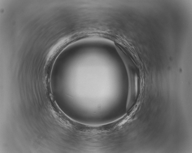 X0000057090197200509161638