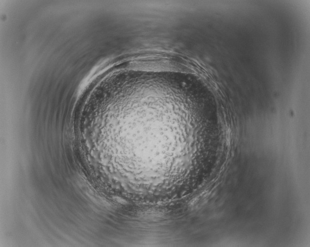 X0000057090198200509161638