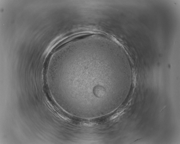 X0000057090199200509161638