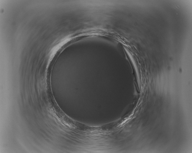 X0000057090200200509161638