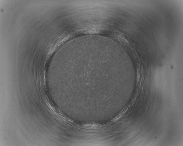 X0000057090202200509161638