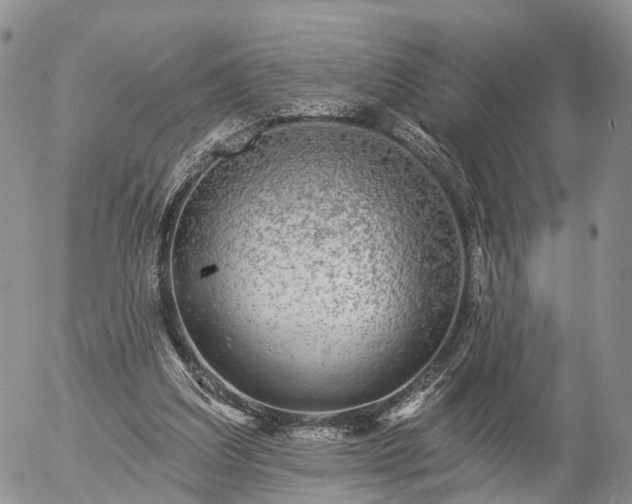 X0000057090203200509161638