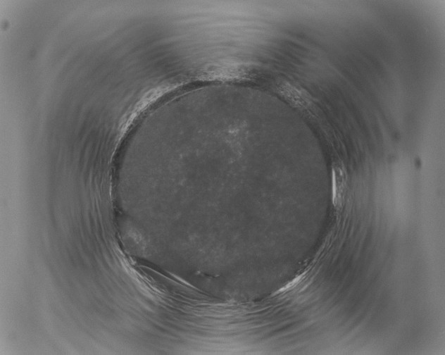 X0000057090204200509161638