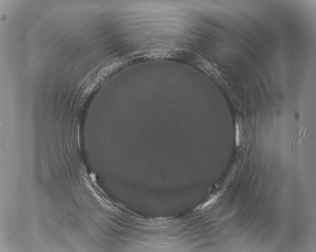 X0000057090205200509161638