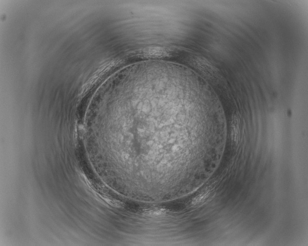 X0000057090206200509161638