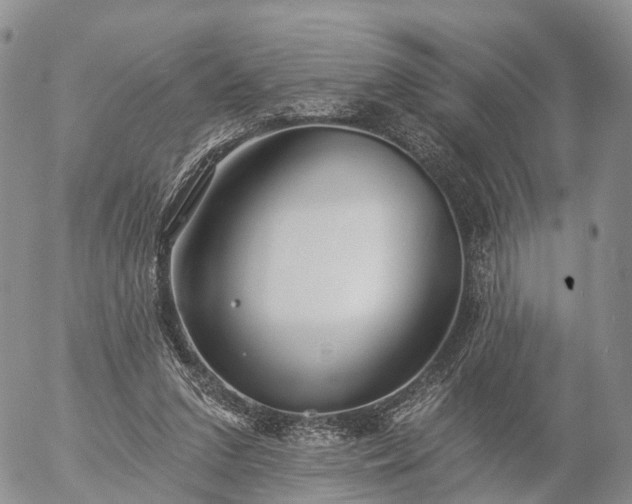 X0000057090207200509161638