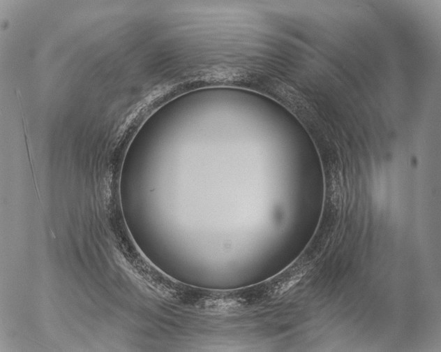 X0000057090208200509161638