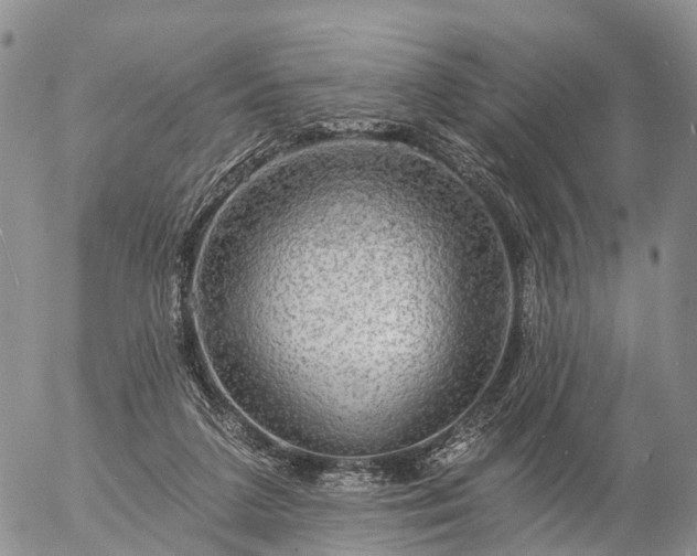 X0000057090211200509161637