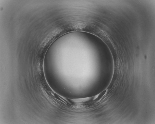 X0000057090212200509161637