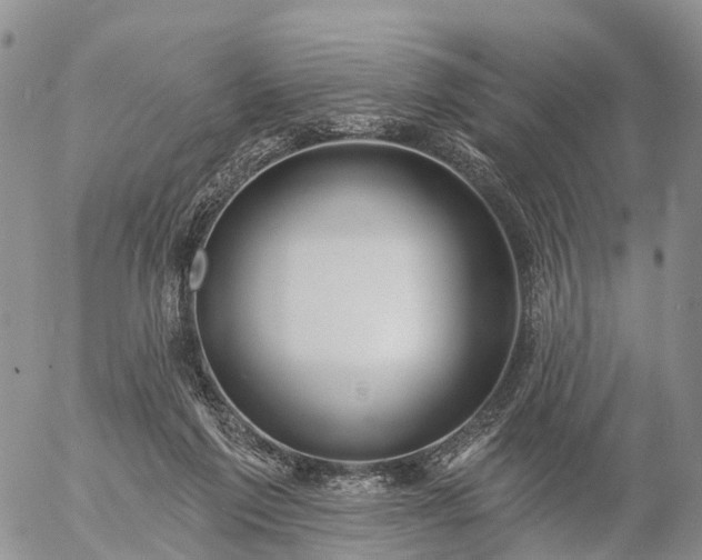 X0000057090213200509161637