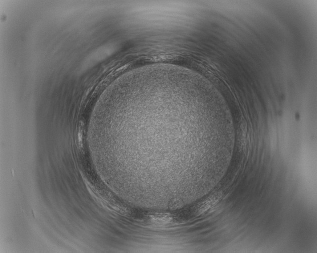 X0000057090214200509161637