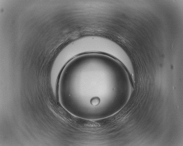 X0000057090215200509161637