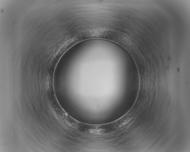 X0000057090216200509161637