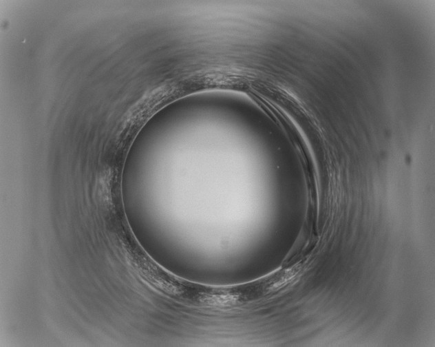 X0000057090217200509161637