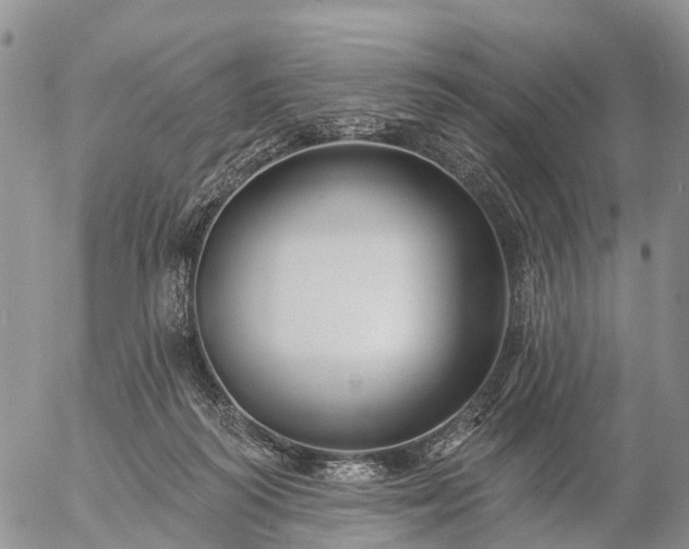 X0000057090218200509161637