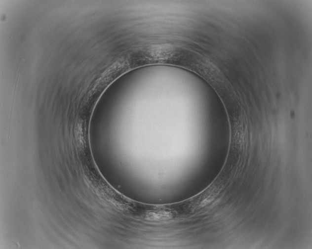 X0000057090220200509161637