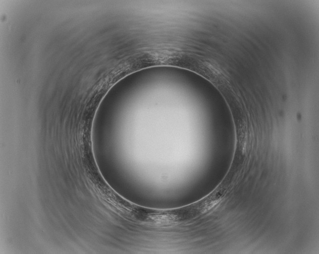 X0000057090221200509161637