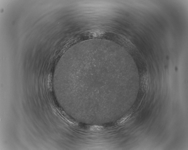 X0000057090222200509161637