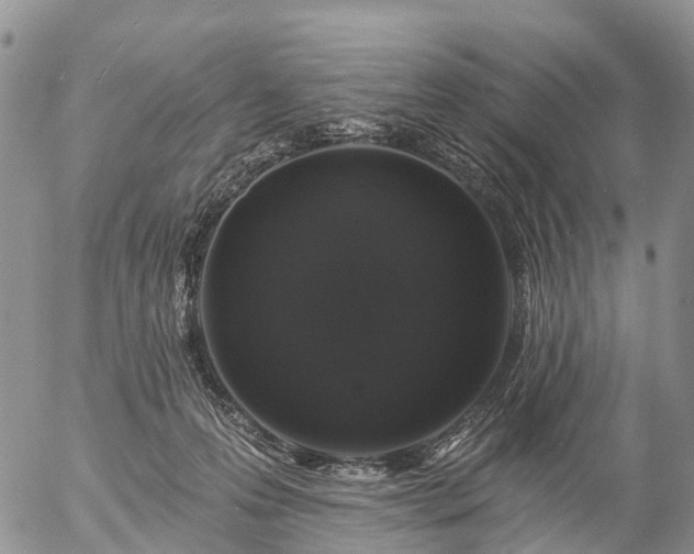 X0000057090223200509161637