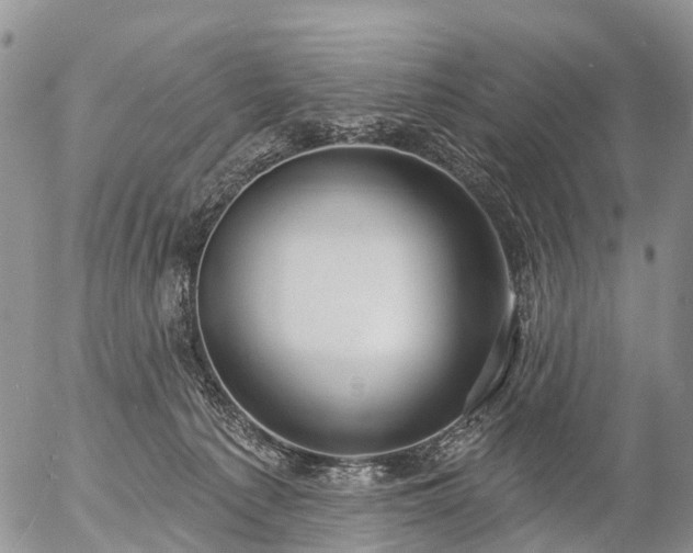 X0000057090225200509161637