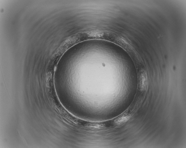 X0000057090229200509161637