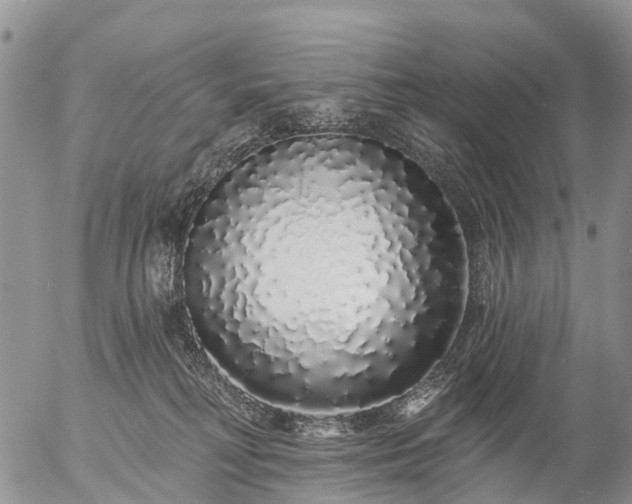 X0000057090230200509161637